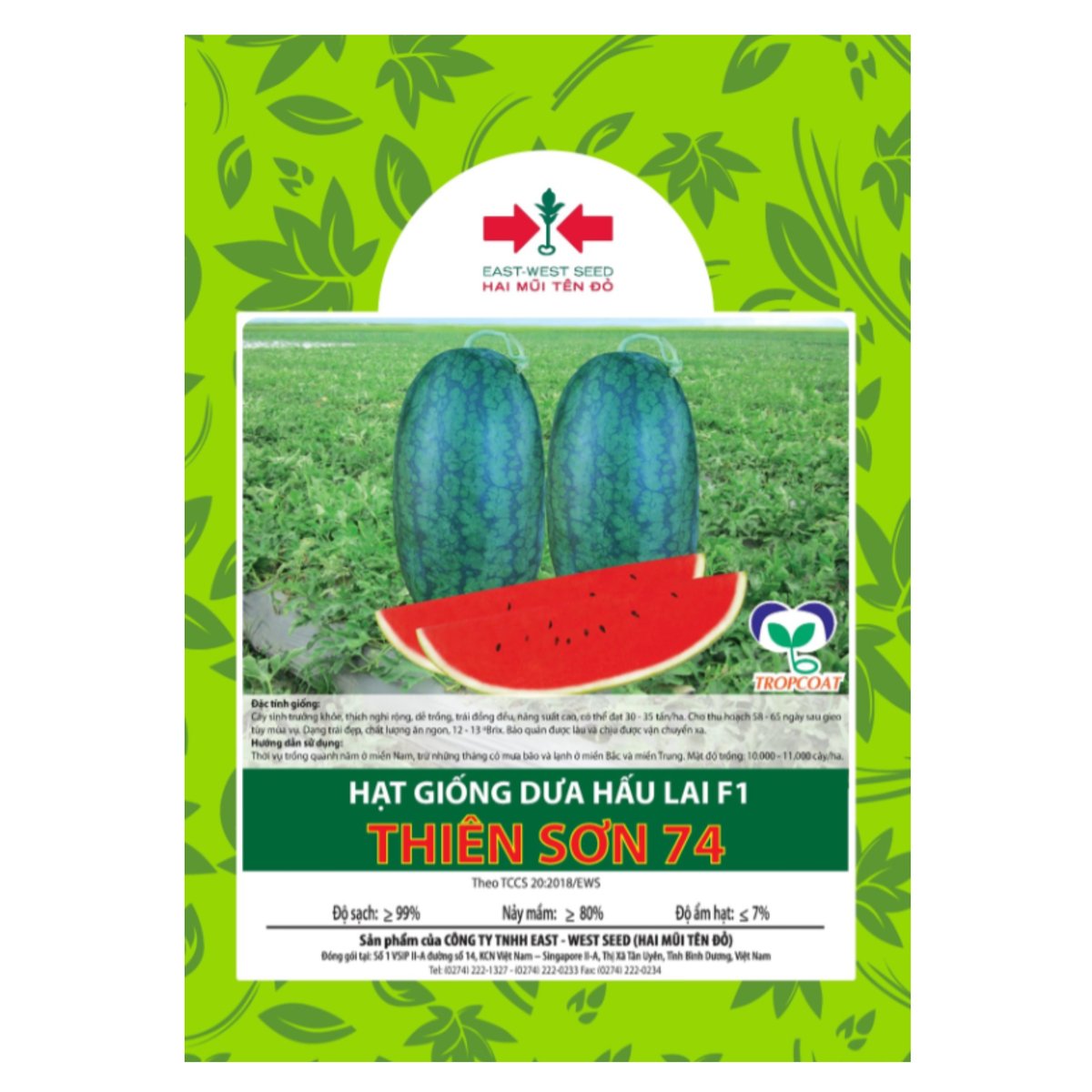 Hạt giống Dưa hấu ruột đỏ lai F1 Thiên Sơn 74 East-West Seed (Hai Mũi Tên Đỏ)