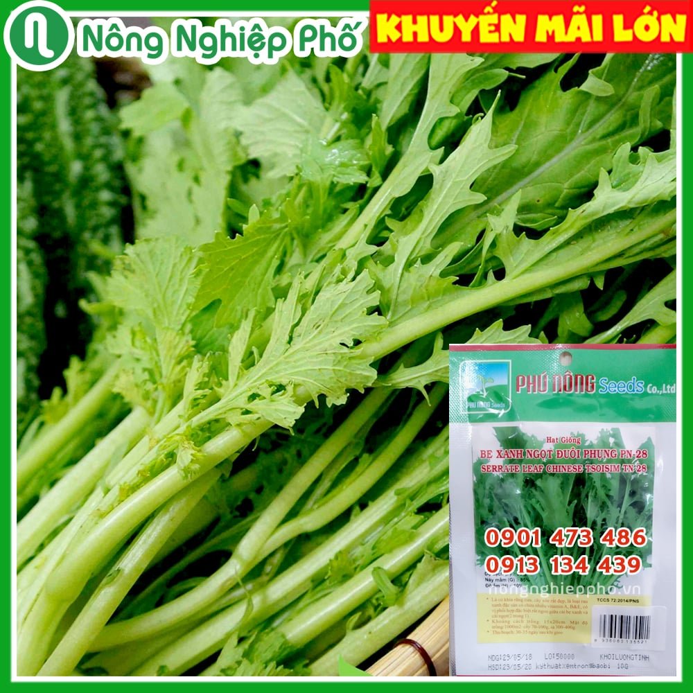 Hạt giống cải bẹ xanh ngọt đuôi phụng PN 28 – Gói 10 gram 2