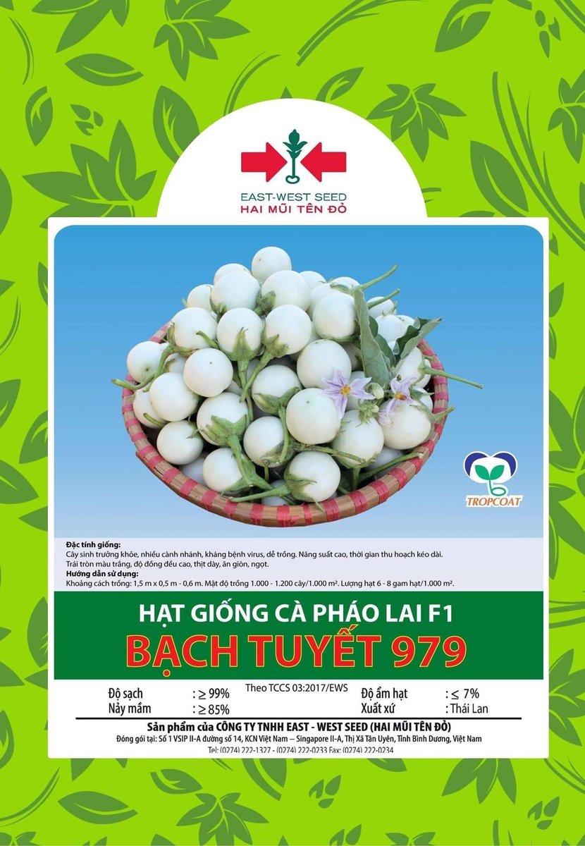 Hạt giống Cà pháo Bạch Tuyết lai F1 979 East-West Seed (Hai Mũi Tên Đỏ) – Gói 1gr 2