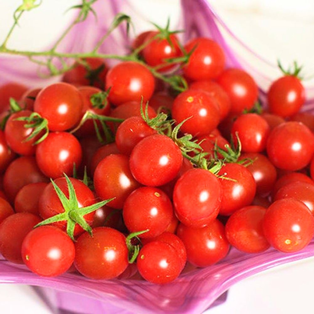 Hạt giống Cà chua bi đỏ FVN – Gói 5 hạt 2