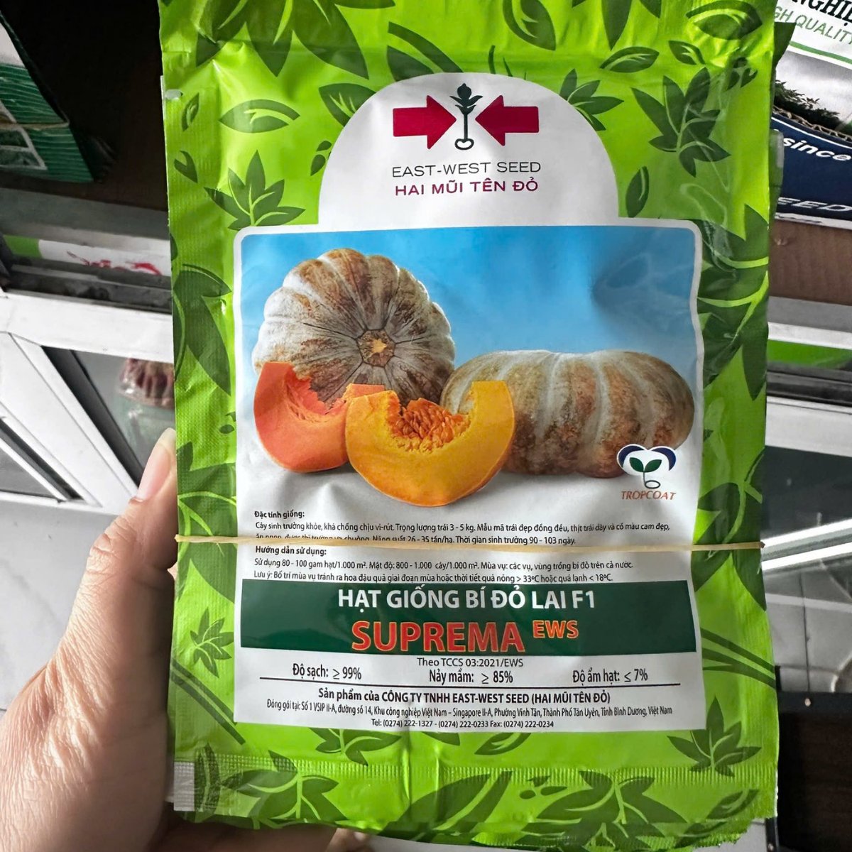 Hạt giống Bí đỏ lai F1 SUPREMA East-West Seed (Hai Mũi Tên Đỏ) – Gói 20 gram 2