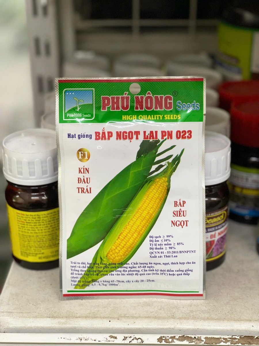 Hạt giống Bắp ngọt LAI 23 PN – Gói 5 gram 2