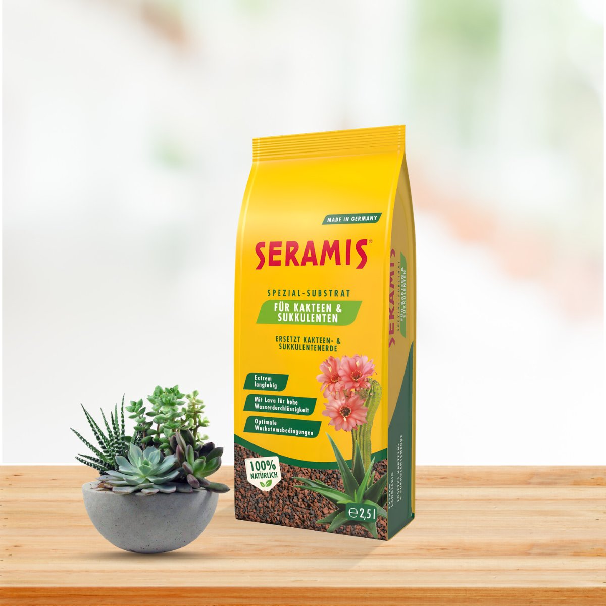 Giá thể trồng cây sen đá, xương rồng và cây mọng nước SERAMIS – Túi 2.5 lít 3
