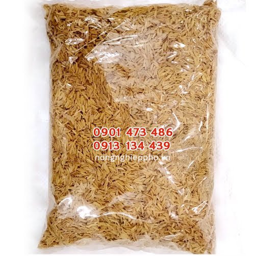 Giá thể trấu sống trộn đất trồng hoa kiểng và cây trồng