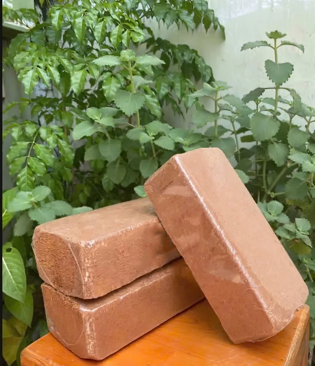Viên nén xơ dừa dùng cho cây trồng, cây rau củ EC Thấp – 500 gram 2