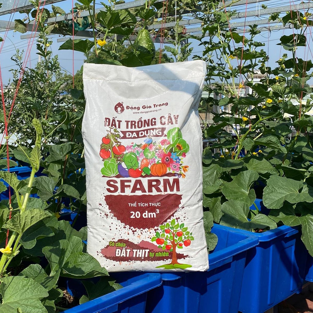 Đất trồng cây đa dụng SFARM (Bao 20dm³) – Đất sạch, cung cấp dinh dưỡng hữu cơ, ngừa nấm bệnh, trồng mọi loại cây 2
