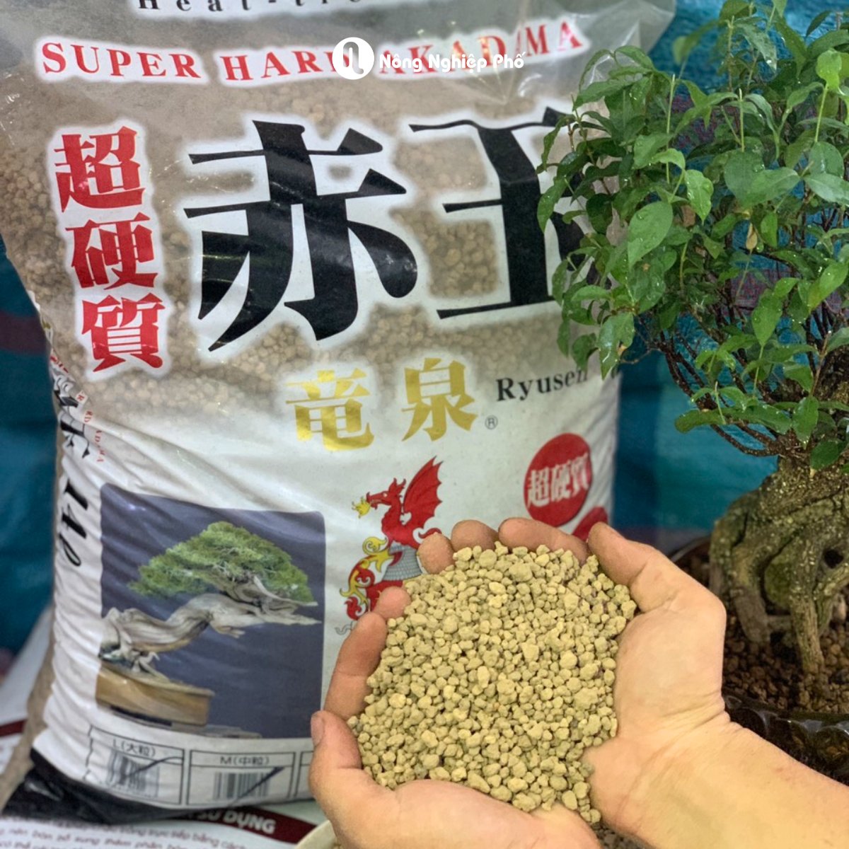 Đất AKADAMA Super Hard – Phân nền giữ ẩm, thoát nước tốt cho cây cảnh 3