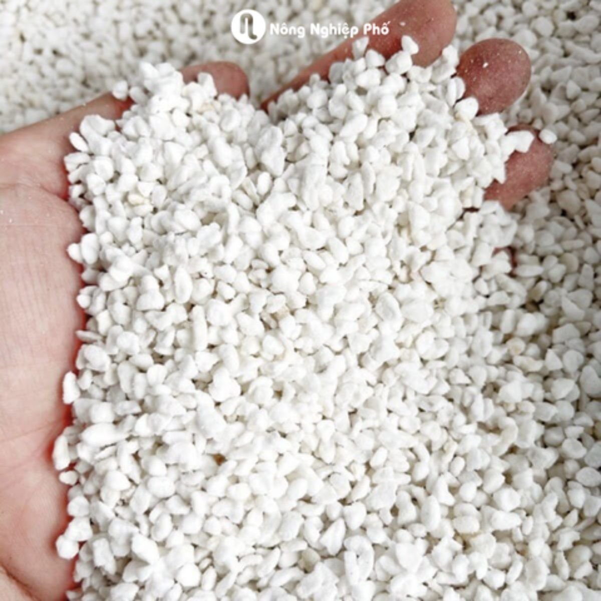 Đá trân châu Perlite (100L) – Giàu khoáng chất, trồng rau, hoa, thủy canh, giâm cành, thoát nước tốt 3
