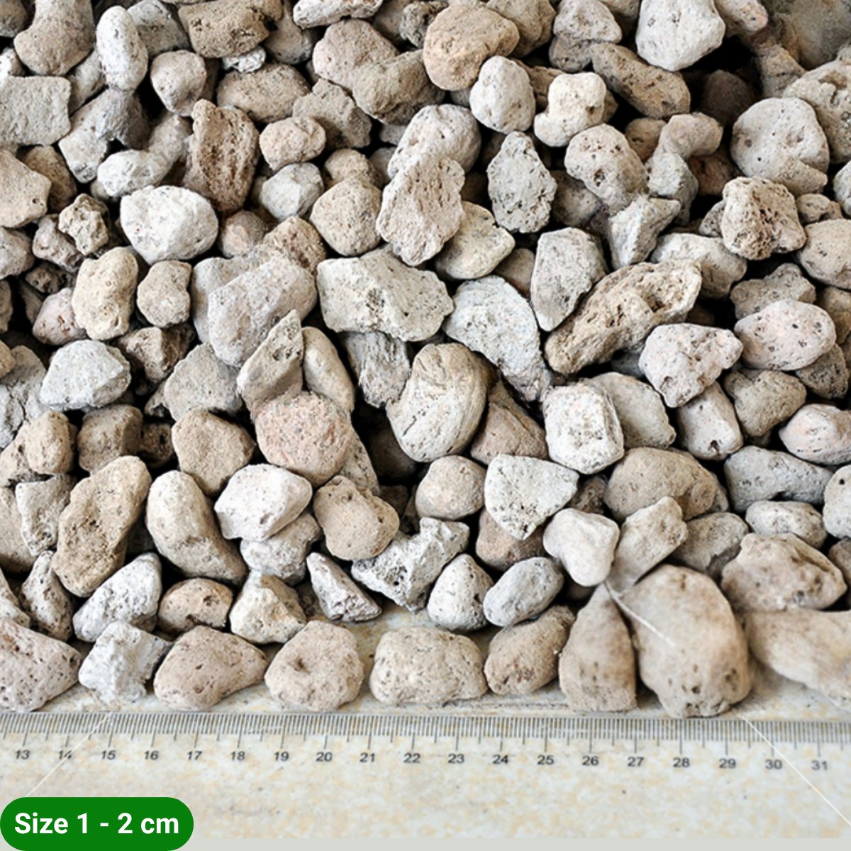 Đá Pumice – Đá bọt trồng cây thoáng khí, giữ ẩm, thoát nước tốt cho cây cảnh 2