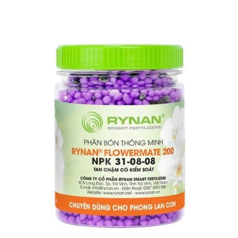 Combo LAN QUÝ HỒI XUÂN (Phục hồi Lan sau mùa hoa) 3