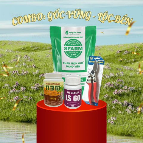 Combo GỐC VỮNG – LỘC BỀN (Phục hồi Mai, Đào, Quất sau Tết) 2