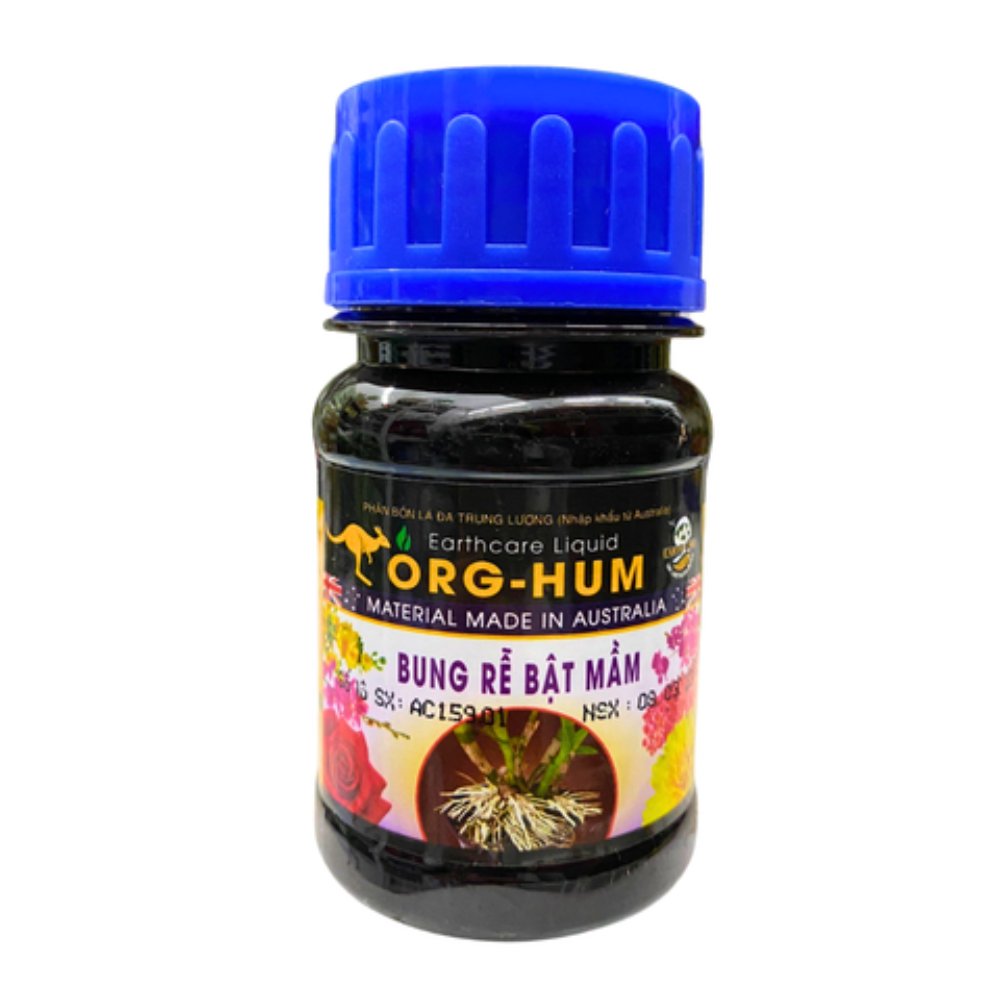 Combo chăm sóc và phục hồi mai Tết (Plus) – Tại CH Đà Nẵng 2