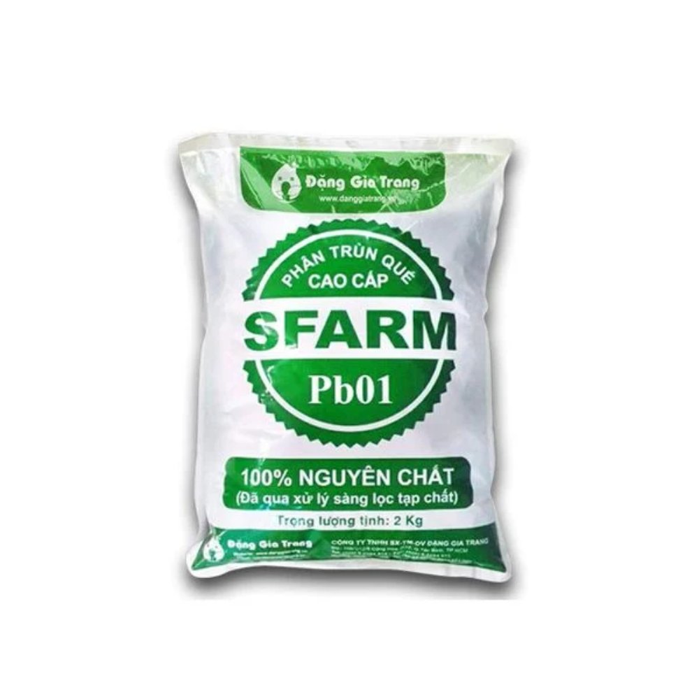 Combo chăm sóc và phục hồi mai sau Tết (Basic) – Tại CH TP. HCM 2