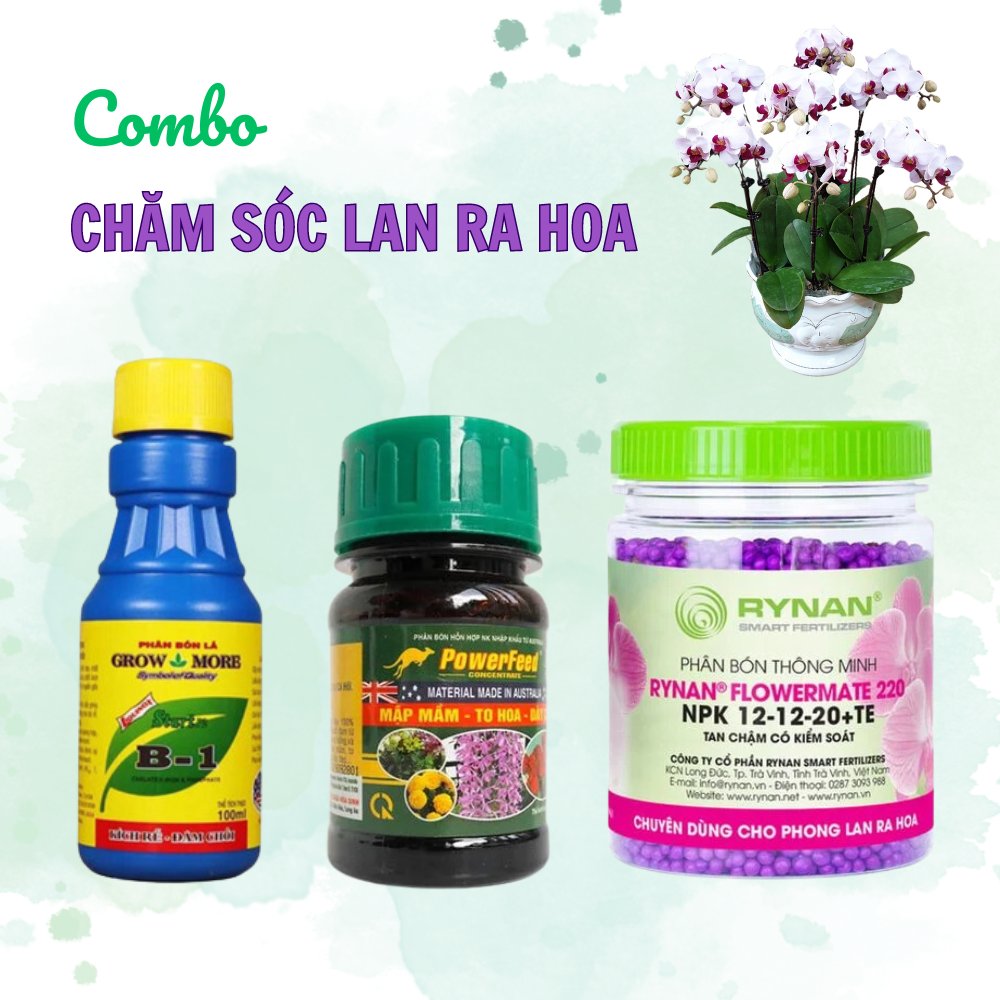 Combo chăm sóc hoa lan ra hoa – Tại CH Hà Nội