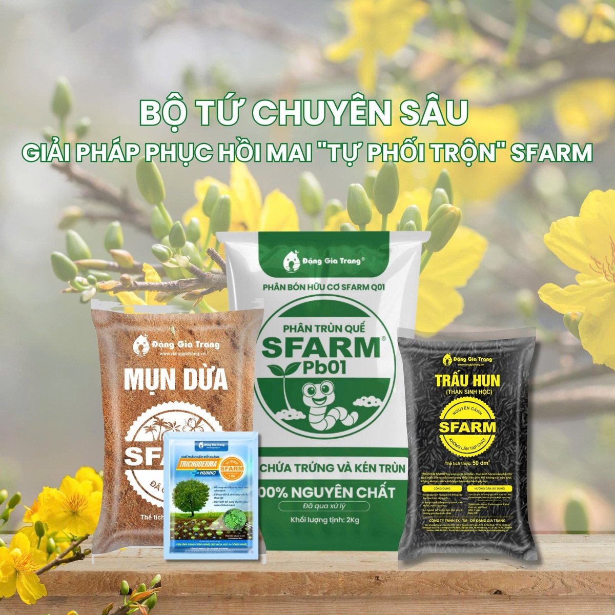 Combo Bộ sản phẩm phục hồi mai SFARM mini – TẠI CH HCM
