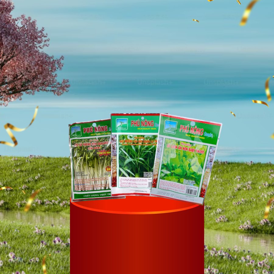 COMBO 3 LOẠI RAU XANH DỄ TRỒNG