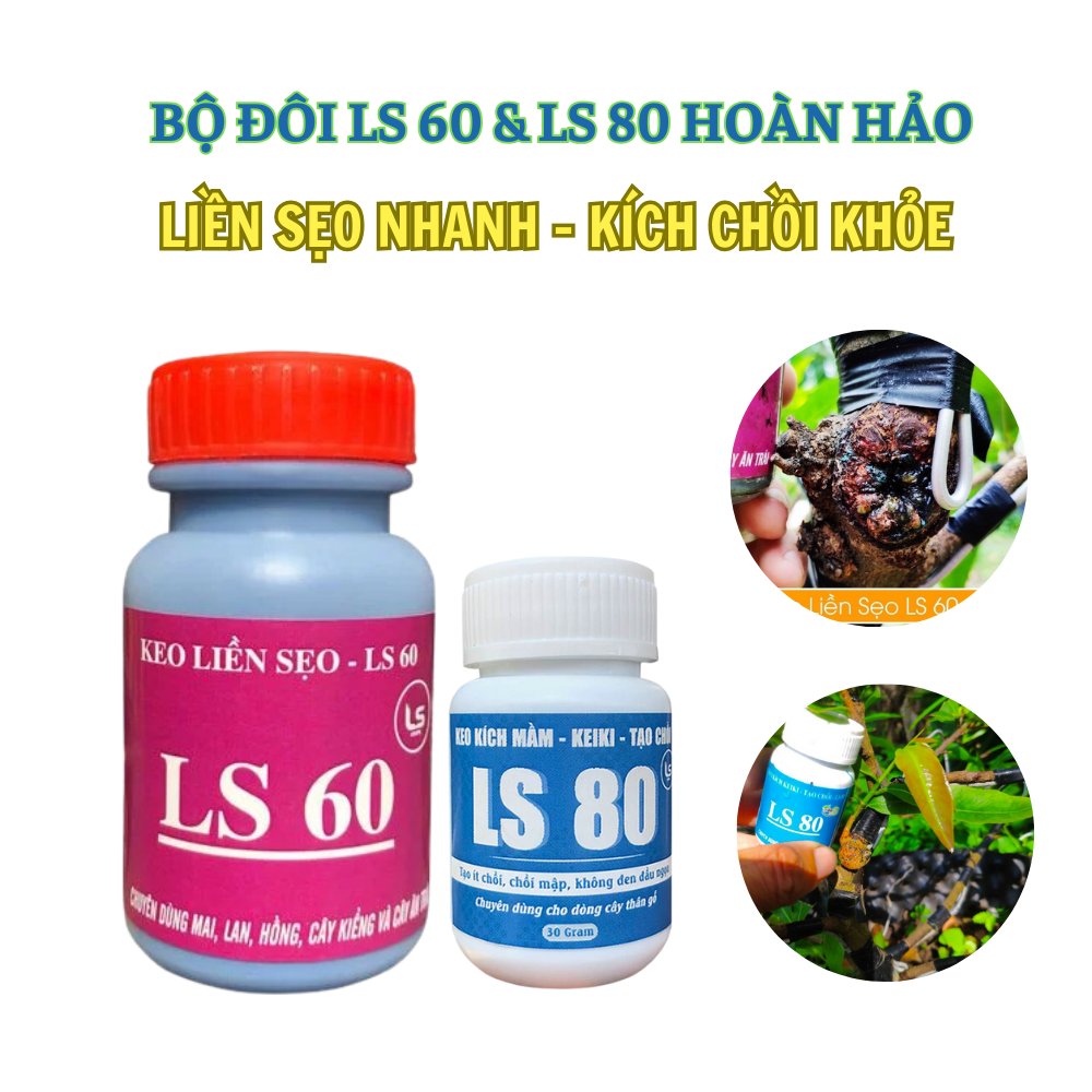 Bộ đôi LS60 & LS80 hoàn hảo liền sẹo nhanh – kích chồi khỏe