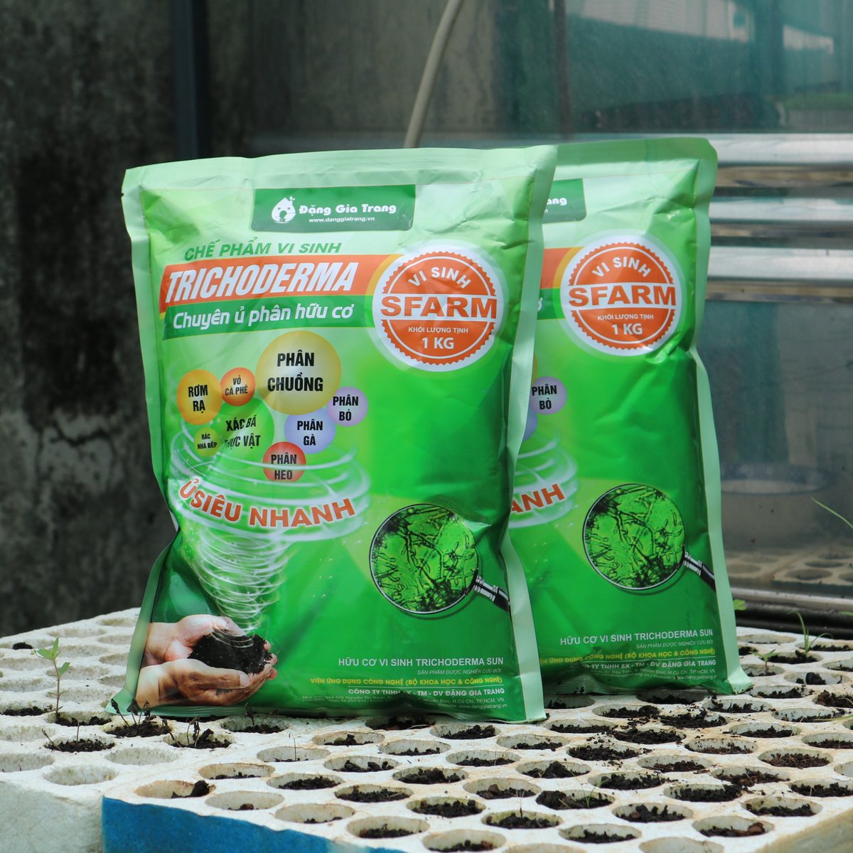 Chế phẩm vi sinh Trichoderma SFARM (1kg) – Chuyên ủ phân hữu cơ, giảm mùi, nhanh hoai mục 3