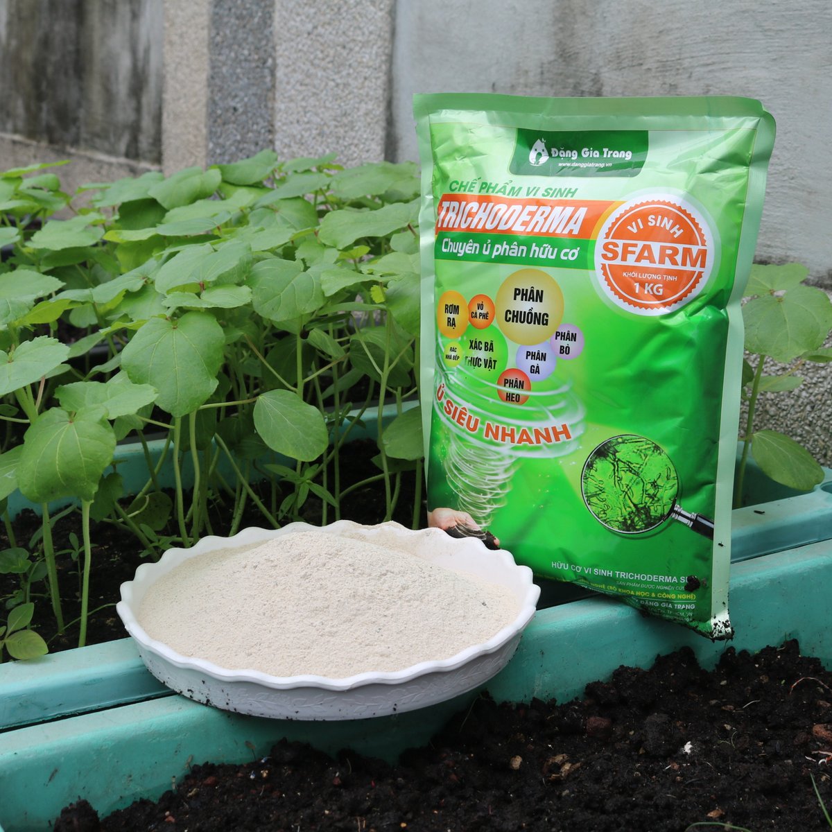Chế phẩm vi sinh Trichoderma SFARM (1kg) – Chuyên ủ phân hữu cơ, giảm mùi, nhanh hoai mục 2