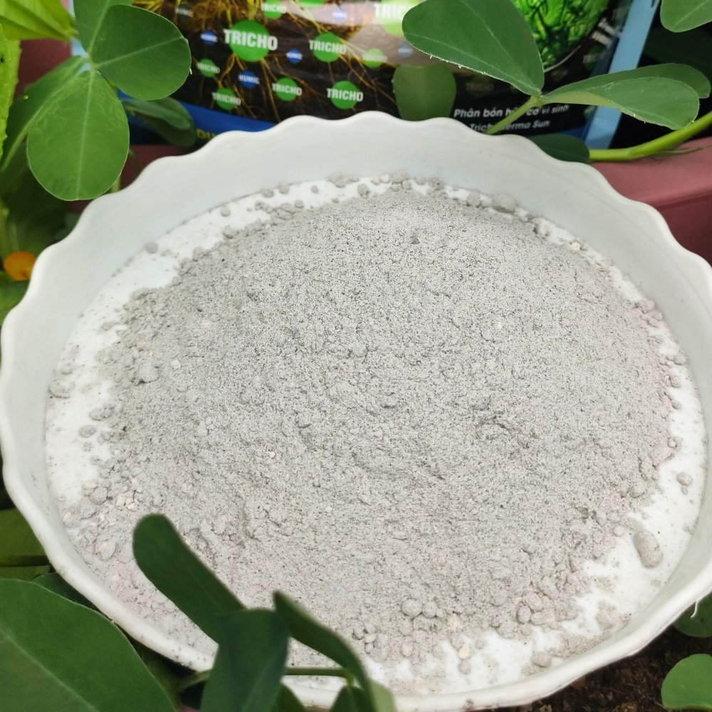 Trichoderma Humic Plus SFARM (500 gram) – Nấm đối kháng, cải tạo đất hiệu quả 3