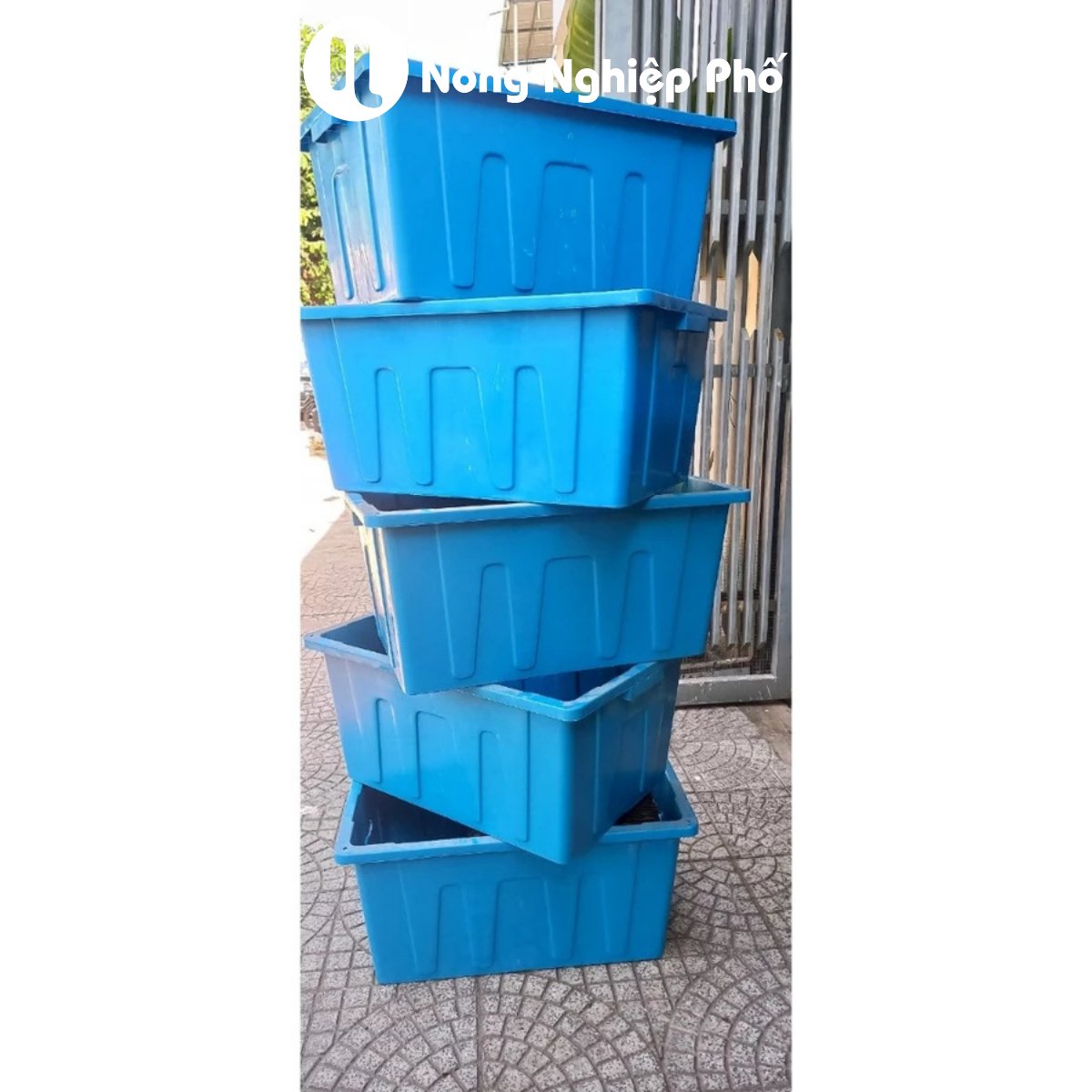 Chậu Aquaponics 70L chuyên trồng rau củ quả, cây ăn trái – Không logo 3