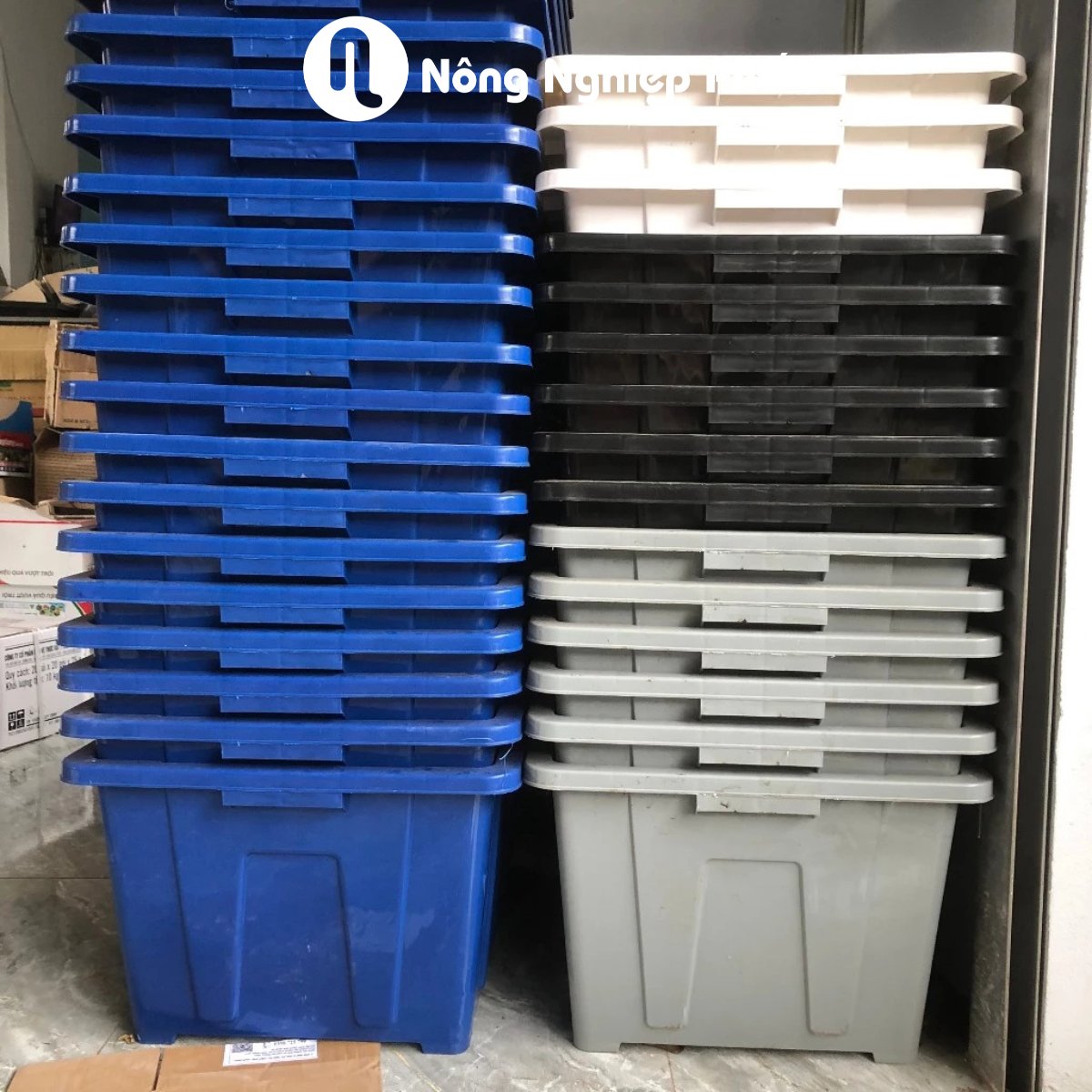 Chậu Aquaponics 70L chuyên trồng rau củ quả, cây ăn trái – Không logo 2