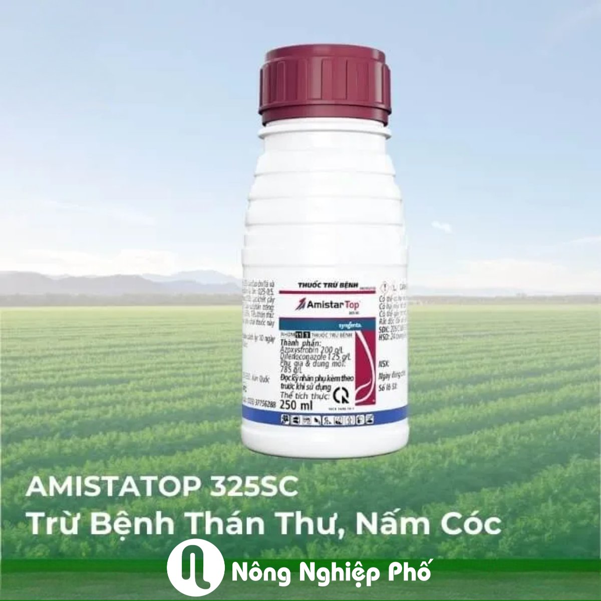 Amistar Top 325SC – Thuốc trừ nấm bệnh hại cây trồng – Chai 100ml 3
