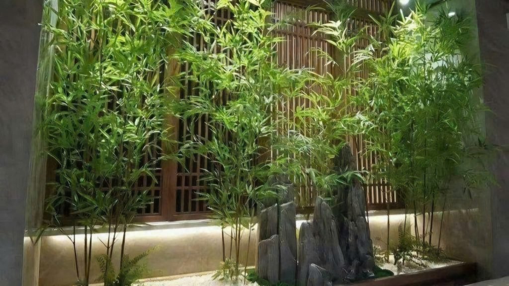 Cây Trúc Quân Tử 2