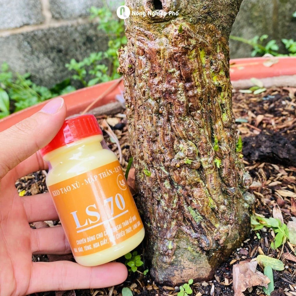 Keo tạo xù cây mập thân LS70 dùng cho mai vàng bonsai cây kiểng 3