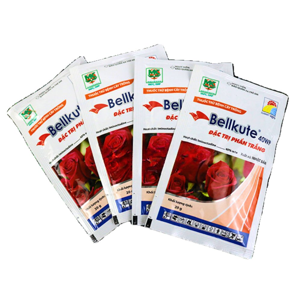 Thuốc trừ bệnh BELLKUTE 40WP đặc trị bệnh phấn trắng trên hoa hồng 3