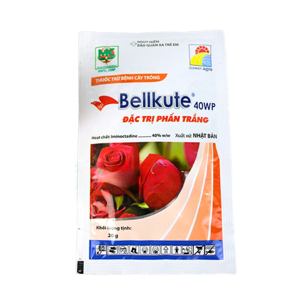 Thuốc trừ bệnh BELLKUTE 40WP đặc trị bệnh phấn trắng trên hoa hồng 2