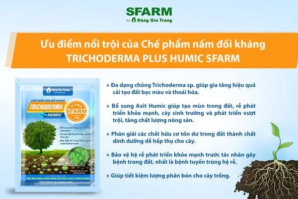 Chế phẩm Trichoderma Plus SFARM 3