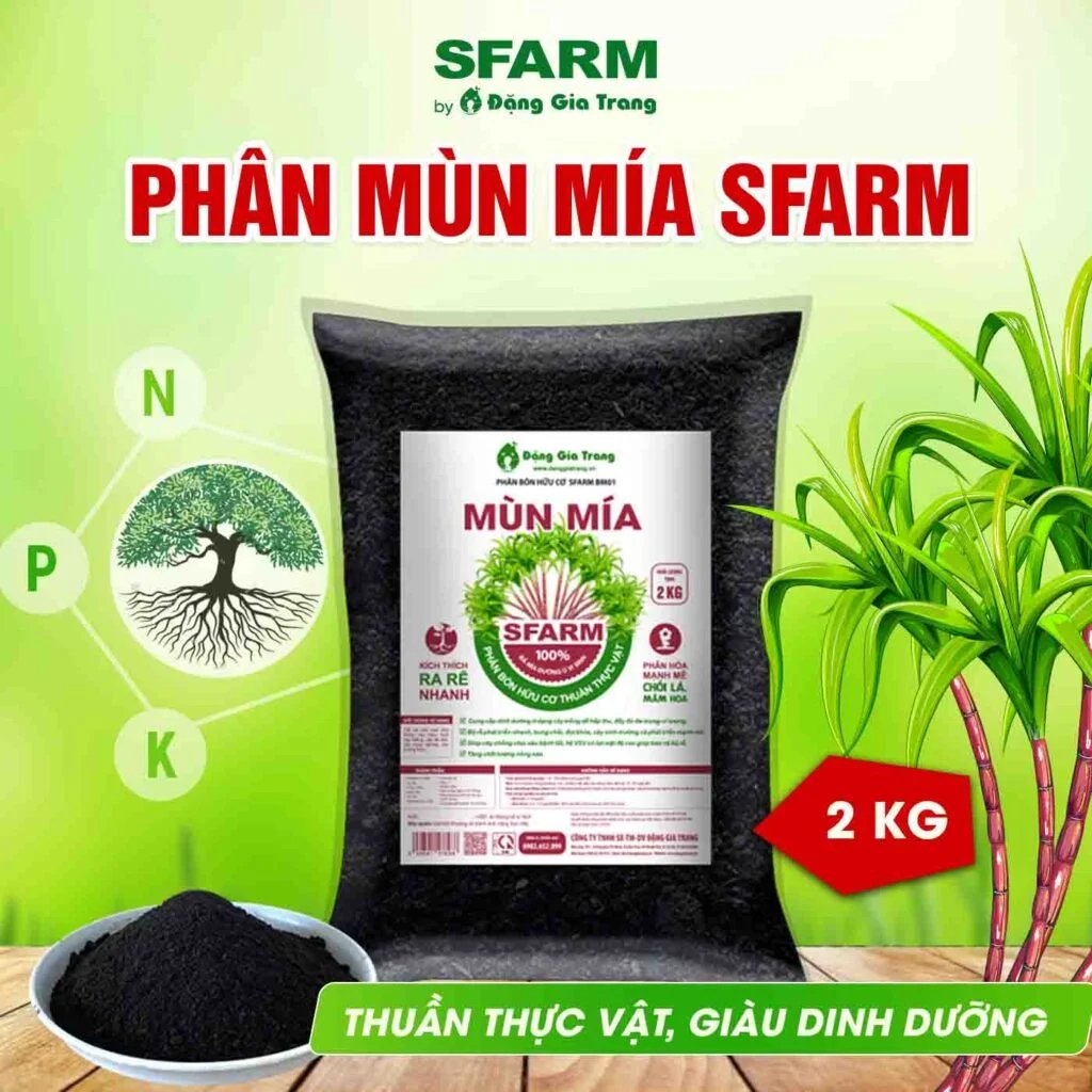 Phân mùn mía SFARM – Cung cấp chất hữu cơ, cải tạo đất chai cứng, giữ ẩm tốt