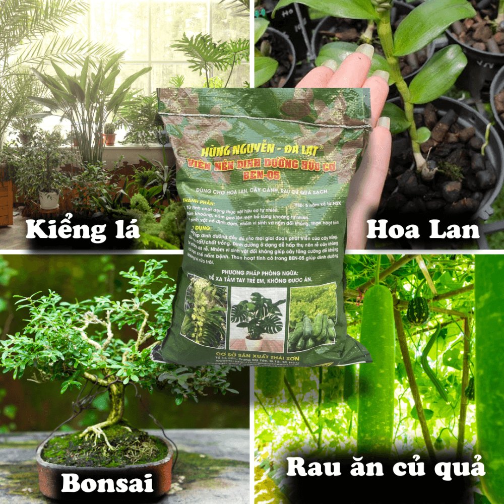 Viên nén hữu cơ dinh dưỡng Ben-05 Hùng Nguyễn 3