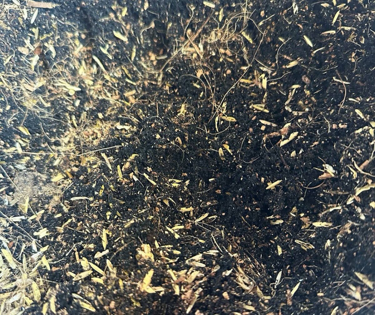 Tro trộn bao lớn 3
