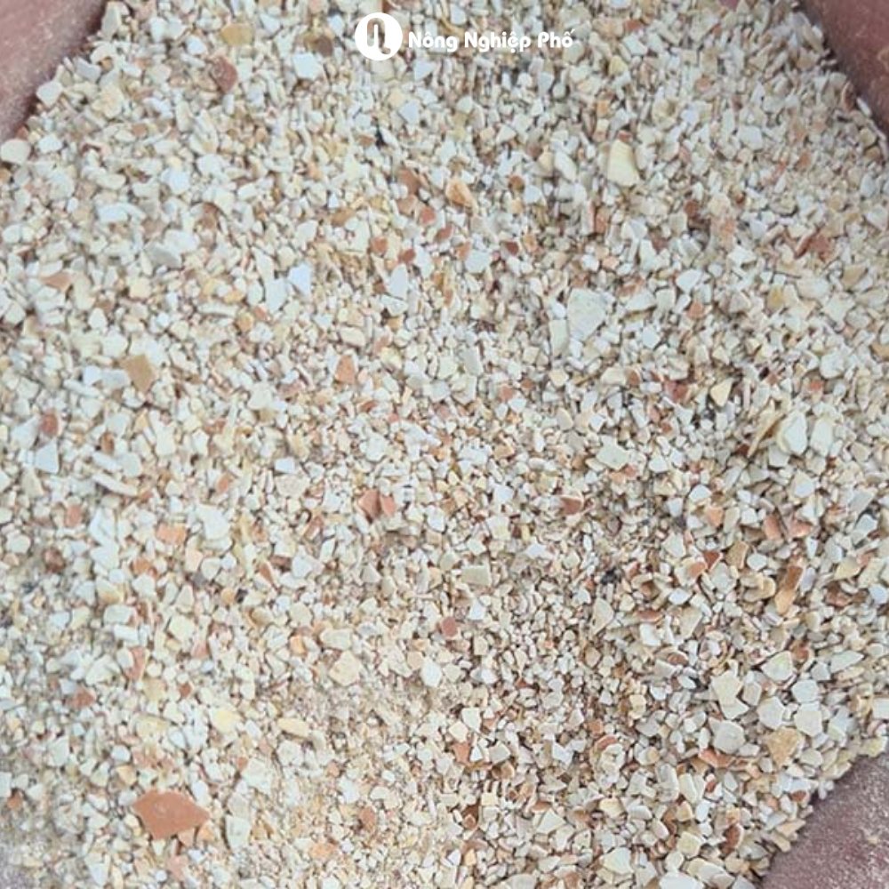 Vỏ trứng gà SFARM (1kg) – Cải tạo đất, bổ sung Canxi, cho cây con, rau màu 3