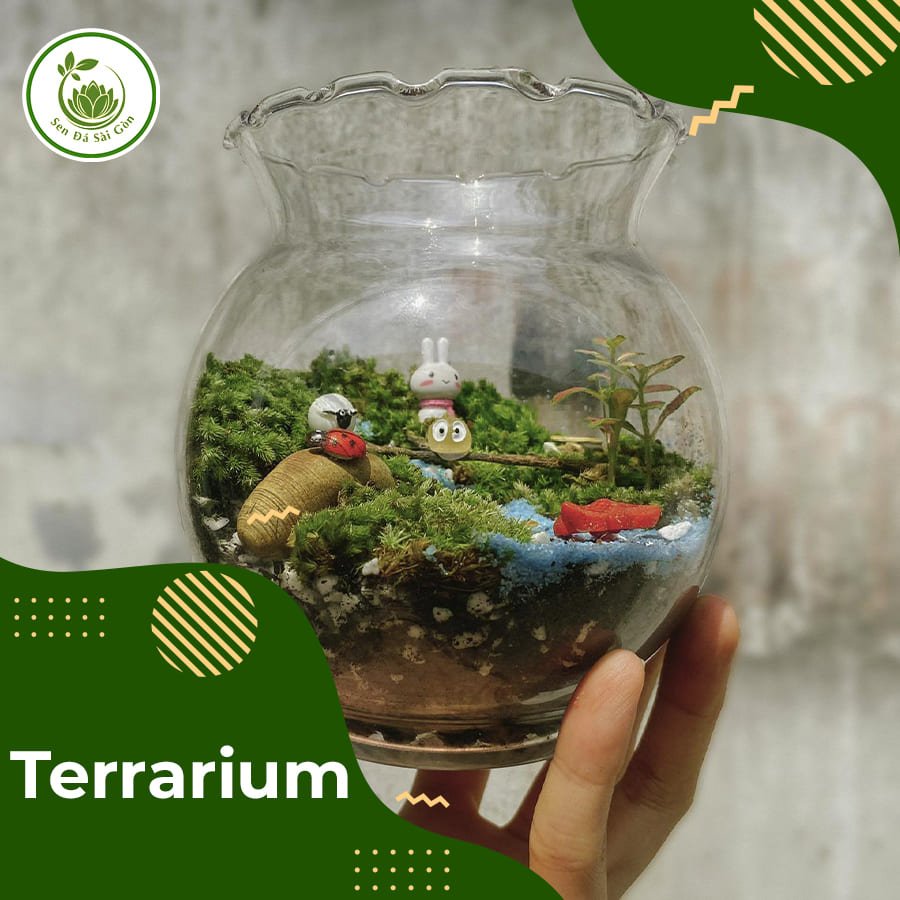 Tiểu cảnh Terrarium 4