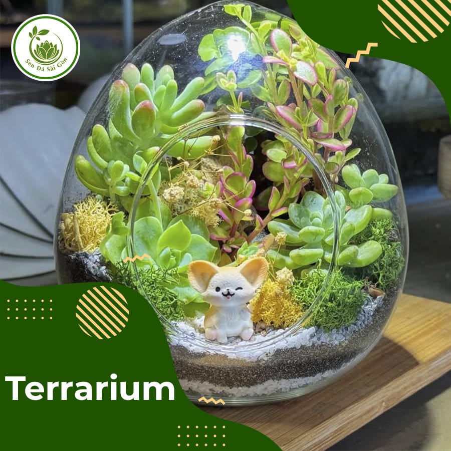 Tiểu cảnh Terrarium 3