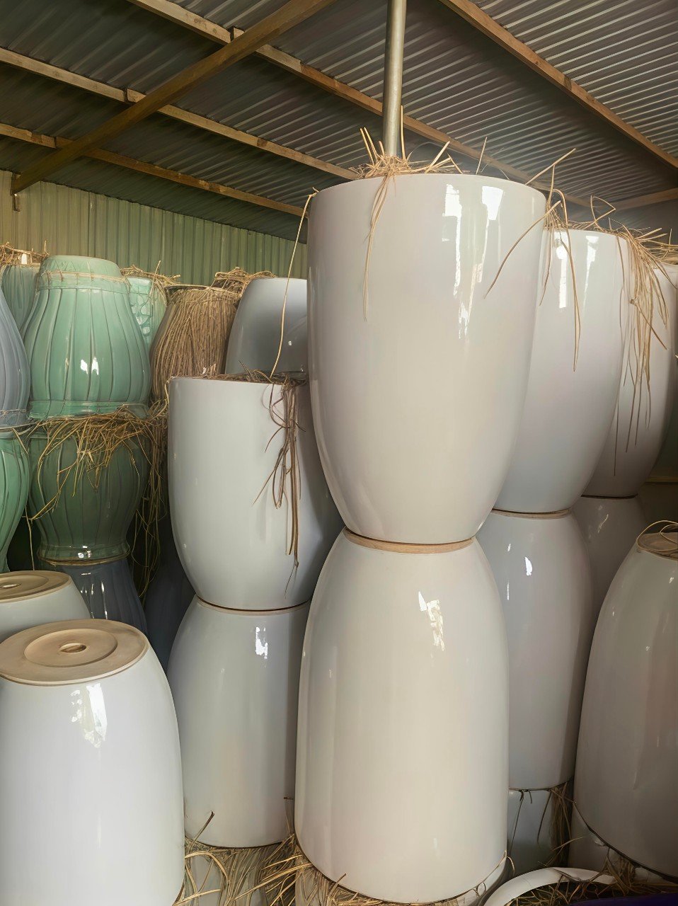 Chậu Sứ Trắng Trơn Cao Trồng Cây Nội Thất