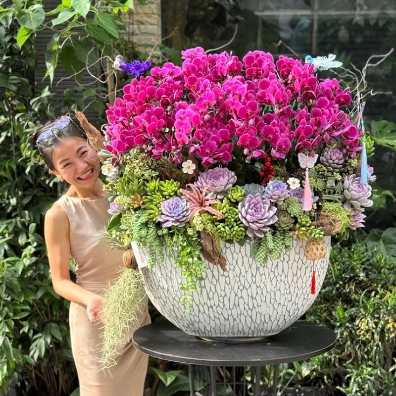 Chậu Lan Mini Thỏi Vàng Thuận Buồm Xuôi Gió Mang Ý Nghĩa Thịnh Vượng Với Kích Thước Siêu To Khổng Lồ 2