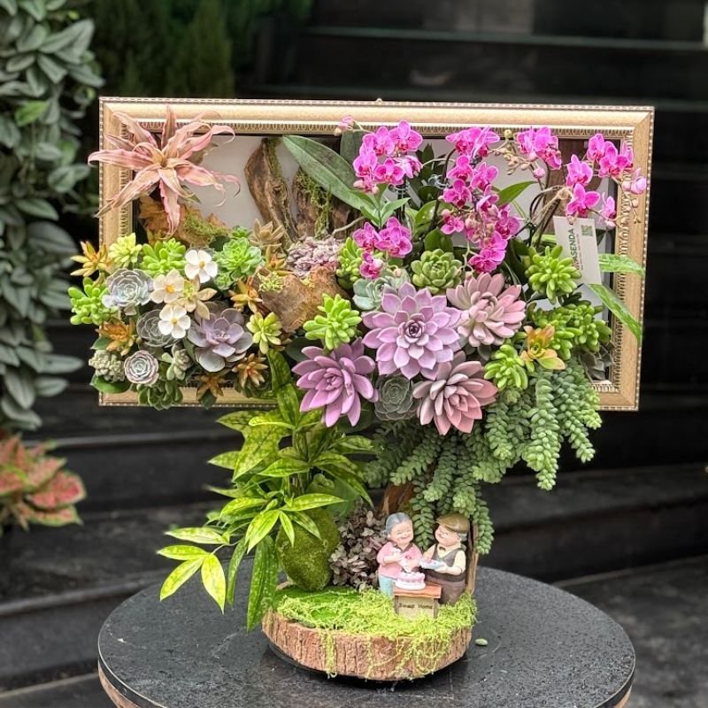 Hoa Lan Hồ Điệp Tết 2026: Tranh Hoa 3D Kết Từ Lan Mini Mix Sen Đá Tươi Đẹp Bền Lâu 3