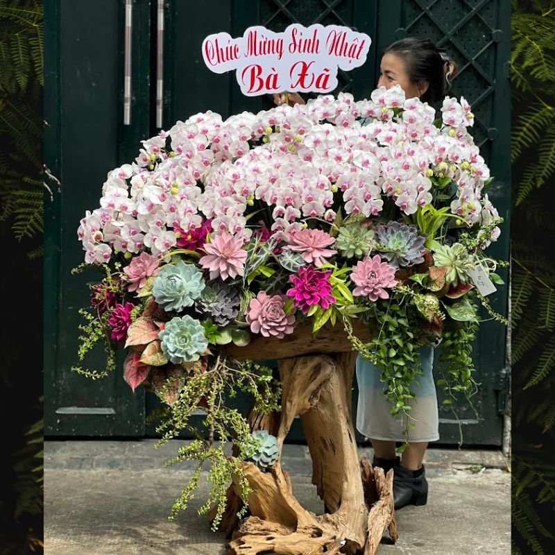 Lan Hồ Điệp Ghép Lũa Gỗ Khổng Lồ Từ Lan Hồ Điệp Trắng Nhụy Hồng Mix Sen Đá Pastel 3