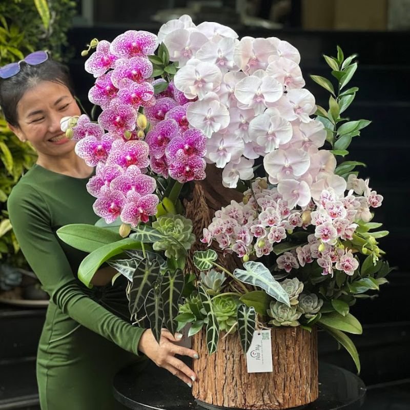Hộp Gỗ Lan Hồ Điệp Mini Mix Lan Hồ Điệp Màu Tím Môn và Hồ Điệp Hồng Đột Biến Bông Lớn
