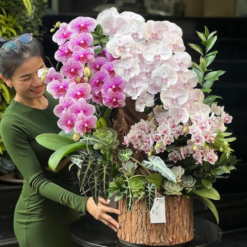 Hộp Gỗ Lan Hồ Điệp Mini Mix Lan Hồ Điệp Màu Tím Môn và Hồ Điệp Hồng Đột Biến Bông Lớn 2