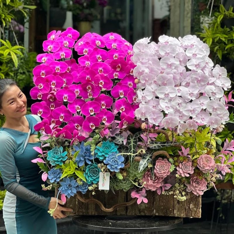 Lan Hồ Điệp Quận 10 - Shop Bán Lan Hồ Điệp Uy Tín Tại Quận 10