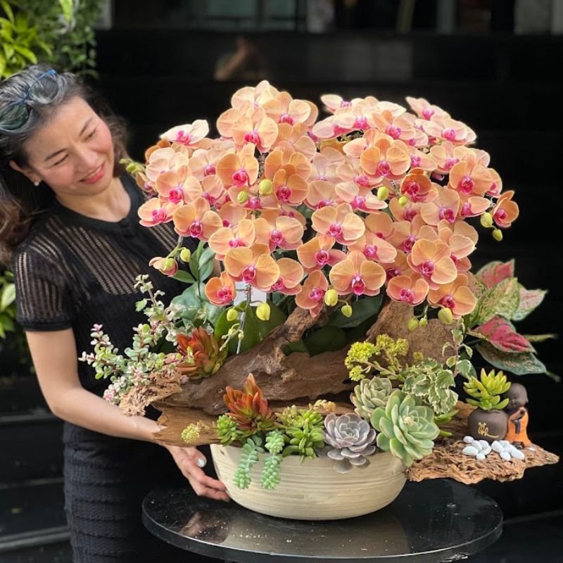Lan Hồ Điệp Chậu Màu Cam Gạch Ghép Gỗ Lũa Sang Trọng 2