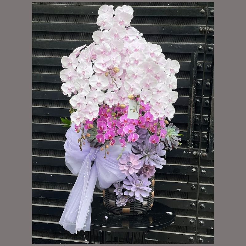 Hoa Sinh Nhật Đẹp Cho Nữ: Bình Lan Hồ Điệp Pastel Kiểu Công Chúa 2