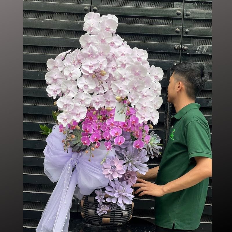 Hoa Sinh Nhật Đẹp Cho Nữ: Bình Lan Hồ Điệp Pastel Kiểu Công Chúa 3