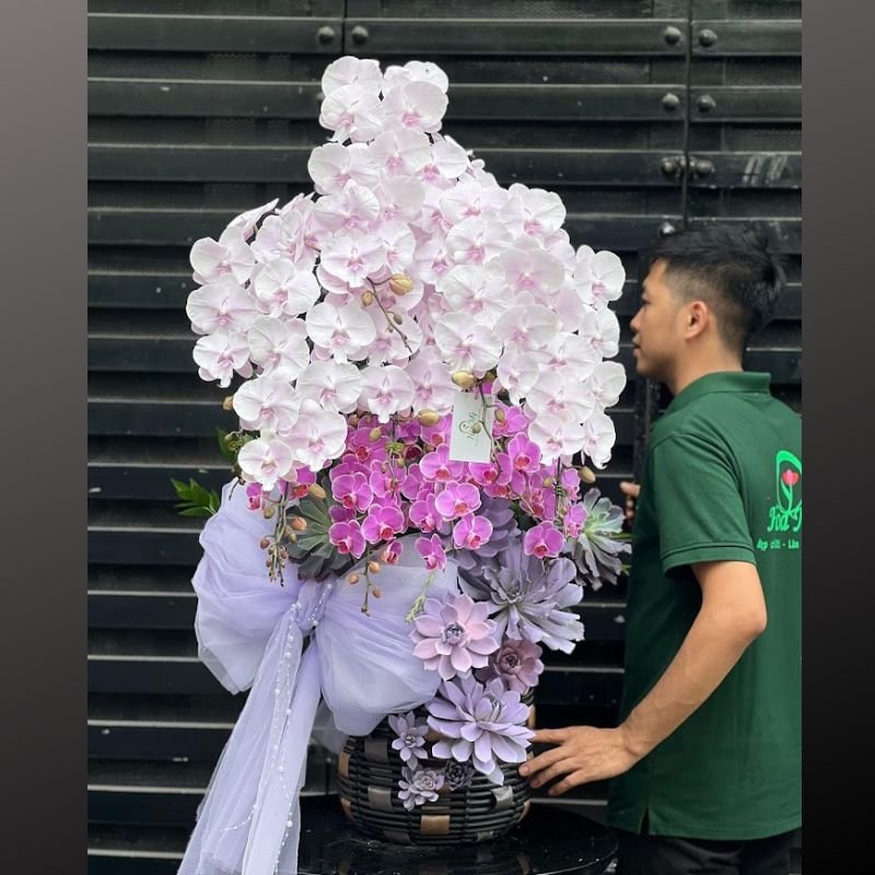 Hoa Sinh Nhật Đẹp Cho Nữ: Bình Lan Hồ Điệp Pastel Kiểu Công Chúa