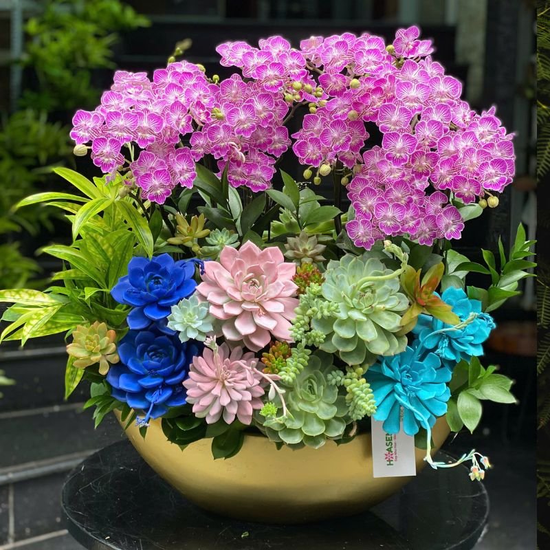 [Hoa chúc mừng ngày 8 tháng 3] Thuyền Hoa Lan Mini Hồng Mix Sen Đá